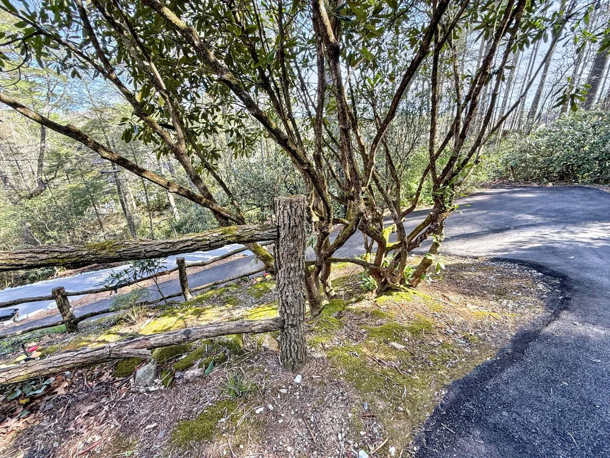 A peaceful outdoor view with twisted tree branches framing a wooden fence post and a curved road disappearing into the woods. The scene invites exploration and hints at the quiet, restorative nature walks available nearby.
