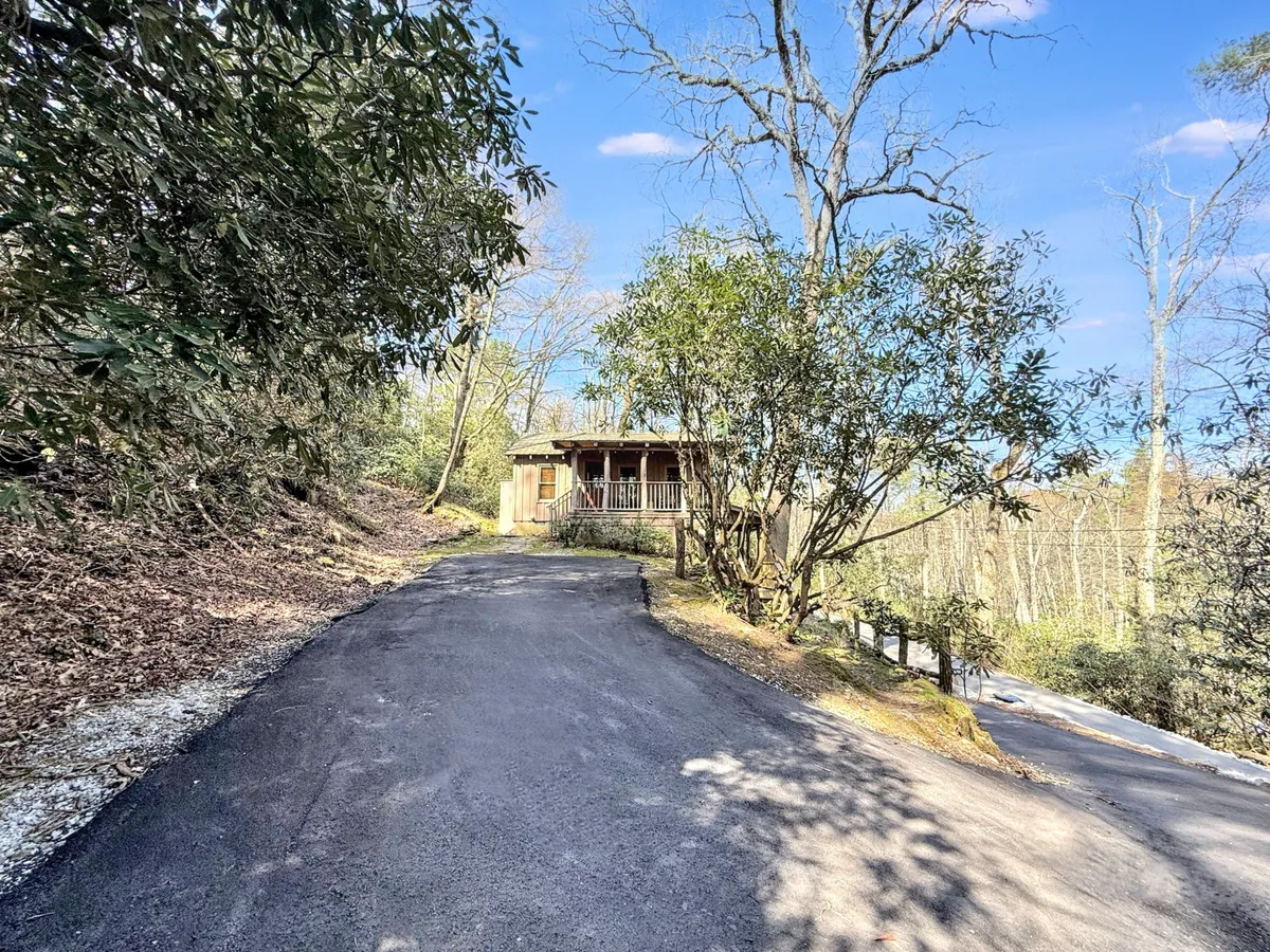 A wide view of the cabin framed by lush greenery, showing the spacious porch and its connection to the surrounding landscape. The dirt driveway hints at the cabin's tranquil, natural setting, and the porch offers a vantage point for enjoying wildlife and sunsets.