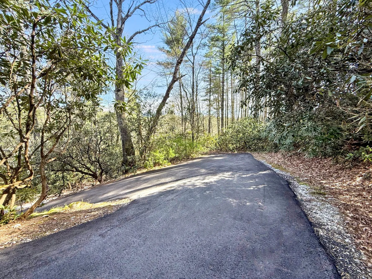 This exterior image captures a winding road surrounded by lush trees and natural vegetation. The scene evokes a sense of peaceful seclusion and the tranquil beauty of a woodland setting, offering a glimpse into the natural environment that surrounds the property.